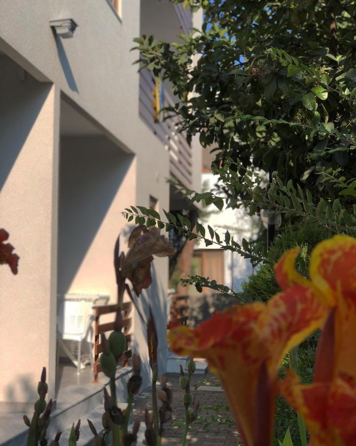 Hotel Athina Velipojë Екстериор снимка